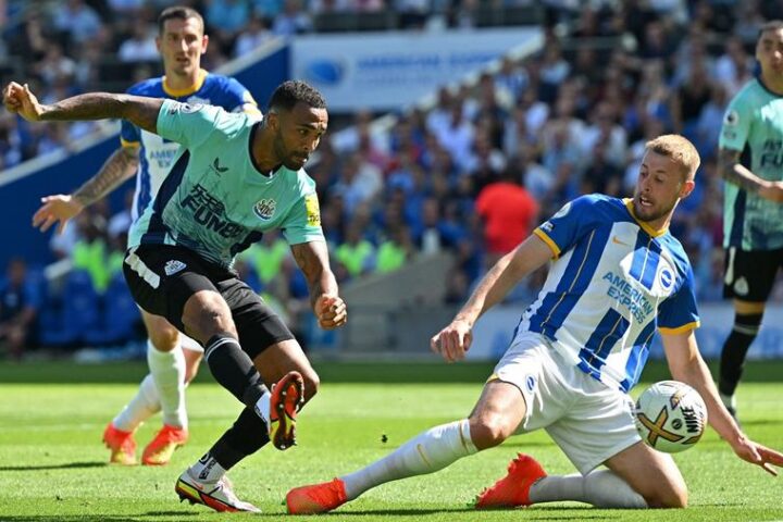 brighton & hove albion f.c. vs newcastle united f.c. standings