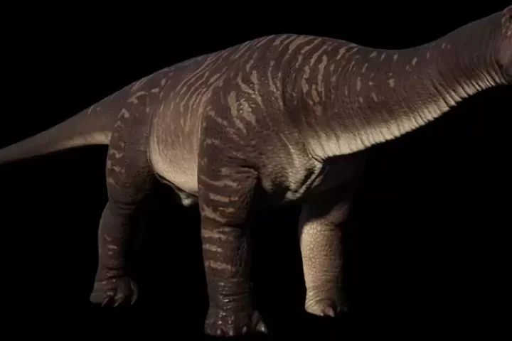 500 teeth dinosaur Nigersaurus