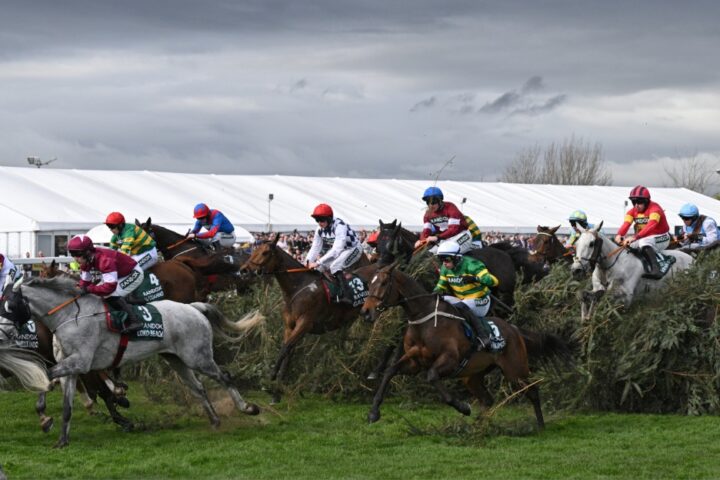 Grand National 2024