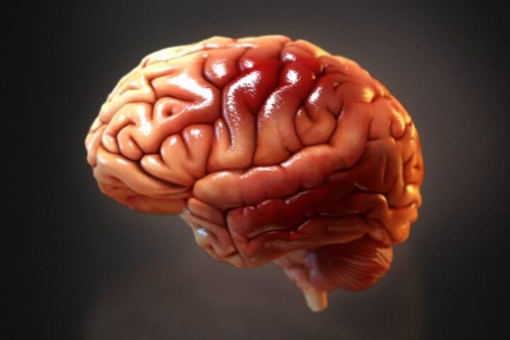 Popcorn Brain